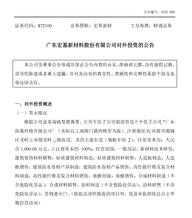 對外投資報告