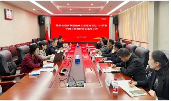 西雙版納州委副書記、州委統(tǒng)戰(zhàn)部部長王嘉玲率領(lǐng)相關(guān)單位領(lǐng)導一行赴中國天然橡膠協(xié)會進行訪談，