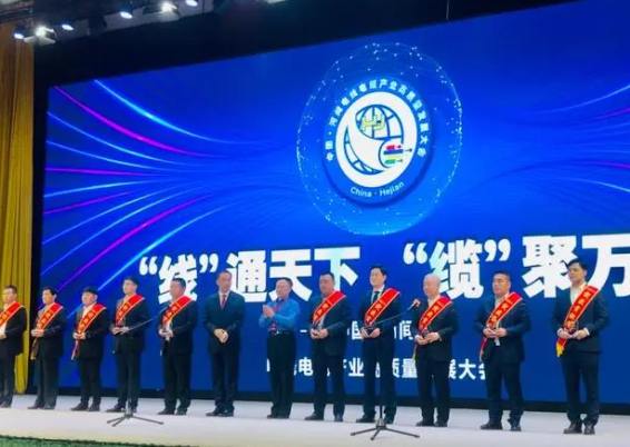 大會(huì)還頒發(fā)了“河間電線電纜產(chǎn)業(yè)突出貢獻(xiàn)獎(jiǎng)”、“河間電線電纜產(chǎn)業(yè)銷售明星獎(jiǎng)”，常豐線纜有限公司、華旗線纜有限公司、滄州會(huì)友線纜股份有限公司等10家企業(yè)獲得突出貢獻(xiàn)獎(jiǎng)，竇義昌、宋福生、趙博娟等15人獲得銷售明星獎(jiǎng)。此外，會(huì)上播放了“河間電線電纜產(chǎn)業(yè)專題片”，講述河間電線電纜發(fā)展史、產(chǎn)業(yè)總體情況、企業(yè)產(chǎn)品、未來發(fā)展等。
