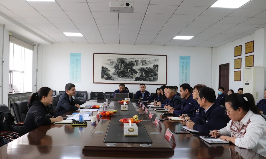 審核過(guò)程中，審核組以IATF16949質(zhì)量管理體系標(biāo)準(zhǔn)、ISO9001、ISO14001、GB/T45001管理體系標(biāo)準(zhǔn)、管理文件、產(chǎn)品標(biāo)準(zhǔn)、作業(yè)指導(dǎo)書(shū)等為審核準(zhǔn)則，通過(guò)現(xiàn)場(chǎng)查看和資料審查相結(jié)合的方式，深入車(chē)間生產(chǎn)現(xiàn)場(chǎng)、查閱了產(chǎn)品合同、物資采購(gòu)合同、供方評(píng)價(jià)、不合格的處理流程以及客戶(hù)滿(mǎn)意度、出廠記錄等相關(guān)資料，并與相關(guān)負(fù)責(zé)人進(jìn)行了溝通交流。