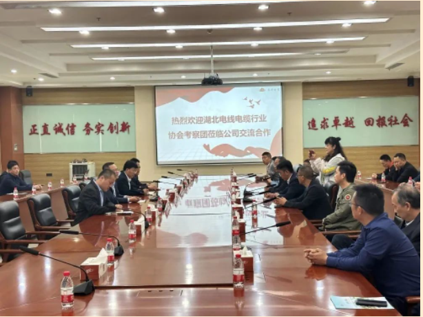 山東泰開電纜有限公司總經(jīng)理張愛華陪同下，交流團(tuán)一行人參觀了集團(tuán)展廳，詳細(xì)了解集團(tuán)的發(fā)展歷程、經(jīng)營(yíng)理念、科研創(chuàng)新、核心零部件等情況，同時(shí)考察了集團(tuán)下屬高壓、電纜制造現(xiàn)場(chǎng)。在座談會(huì)上，雙方就技術(shù)研發(fā)、生產(chǎn)管理、質(zhì)量控制、員工獎(jiǎng)勵(lì)等方面的問題進(jìn)行了友好互動(dòng)交流。