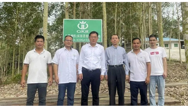 中國駐泰國宋卡總領(lǐng)事吳冬梅和中國駐馬來西亞古晉總領(lǐng)事邢偉平分別到訪廣墾橡膠泰國沙墩公司和廣墾橡膠馬來西亞砂撈越公司，考察了這兩家公司的生產(chǎn)情況和膠園管理情況，并聽取了企業(yè)經(jīng)營管理及黨建工作的匯報。