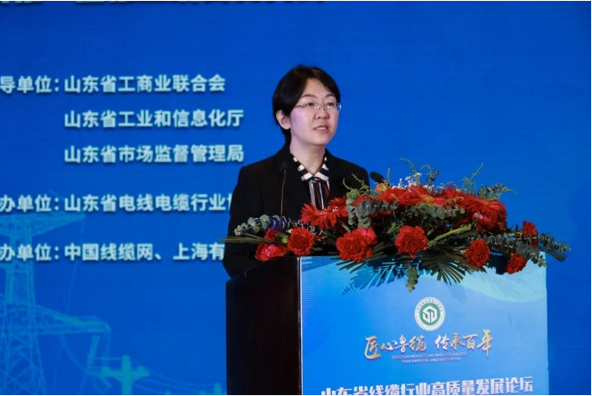 山東省工業(yè)和信息化廳裝備產(chǎn)業(yè)處副處長齊采芹指出，山東省電線電纜行業(yè)協(xié)會的成立和發(fā)展，對于加強線纜行業(yè)內(nèi)交流與合作、推動技術(shù)工藝標(biāo)準(zhǔn)化升級、搶抓細分領(lǐng)域核心優(yōu)勢、加快培育特色產(chǎn)業(yè)集群等有重要積極的意義，希望借助優(yōu)勢企業(yè)，開展特色產(chǎn)業(yè)集群培育、制造業(yè)創(chuàng)新中心建設(shè)、大中小梯次企業(yè)培育、數(shù)字化轉(zhuǎn)型升級。