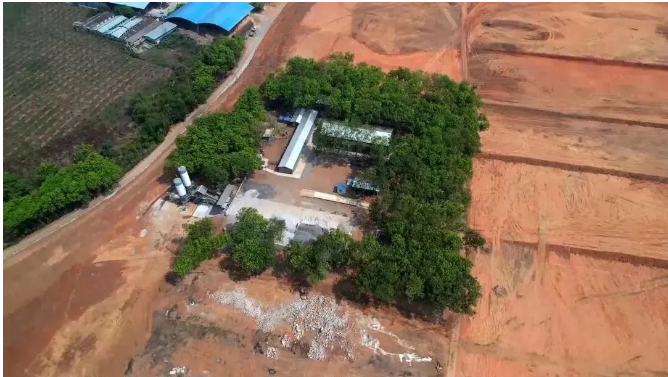 曼列橡膠加速推進(jìn)橡膠基地項(xiàng)目建設(shè)，助力地方經(jīng)濟(jì)增長(zhǎng)