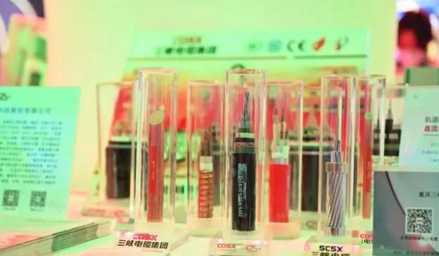 三峽電纜在展會(huì)現(xiàn)場(chǎng)展示了公司自主研發(fā)的一系列產(chǎn)品，其中包括重慶第一條軌道交通直流(FZ/FYS-GEA3DC)電纜、35kv軌道交通電纜以及礦物質(zhì)絕緣防火電纜(BTTZ、RTTZ、NG-A BTLY、BBTRZ)等。這些產(chǎn)品憑借其卓越的性能和質(zhì)量吸引了現(xiàn)場(chǎng)嘉賓和觀眾的高度關(guān)注。