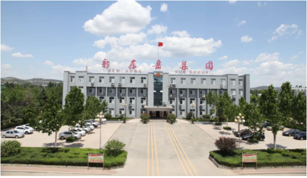 這次會(huì)議為新東岳集團(tuán)公司的高級(jí)管理人員提供了一個(gè)交流和總結(jié)的平臺(tái)，以進(jìn)一步推動(dòng)企業(yè)的高效運(yùn)營(yíng)。