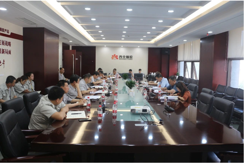 為加強(qiáng)安全生產(chǎn)管理，確保安全底線，延長石油集團(tuán)公司安全包聯(lián)領(lǐng)導(dǎo)解金城一行于今日來到陜西延長石油西北橡膠有限公司，展開了包聯(lián)單位的安全專項(xiàng)督查工作。在張航偉公司總經(jīng)理和黨委副書記的陪同下，相關(guān)領(lǐng)導(dǎo)班子成員和部門負(fù)責(zé)人參加了座談交流。