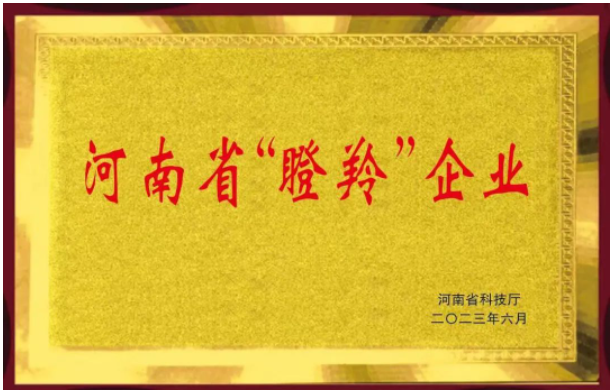恒力橡塑股份有限公司的入選不僅證明了該公司在橡膠助劑領(lǐng)域的突出成就，同時(shí)也彰顯了河南省在科技創(chuàng)新和高新技術(shù)企業(yè)培育方面的努力。