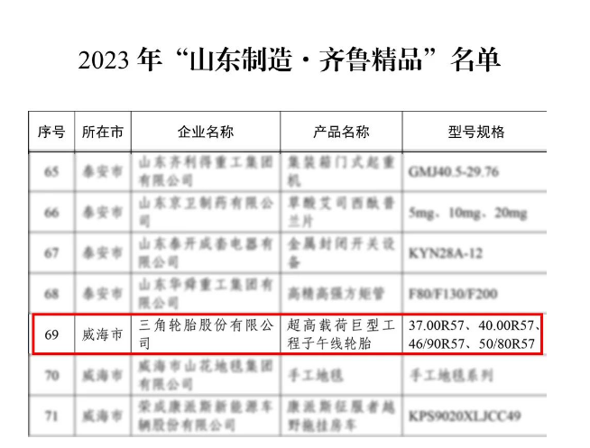 三角輪胎在這些榮譽(yù)中的獲得，充分展示了其在科學(xué)研究、工業(yè)領(lǐng)域和制造業(yè)發(fā)展方面的卓越表現(xiàn)。