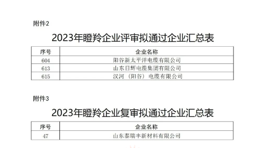 山東省工業(yè)和信息化廳在本次認定工作中嚴格按照相關文件規(guī)定的程序和標準進行評選，充分尊重市場主體自愿申報的原則，注重專家評審和第三方信用評級的公正性與權威性，確保了認定結果的準確性和公信力。