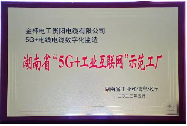 金杯電纜榮獲湖南省“5G+工業(yè)互聯(lián)網”示范工廠殊榮