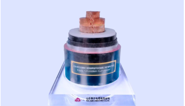 展望未來，泰開電纜表示將繼續(xù)發(fā)揮科研平臺在關鍵技術攻關、科技成果轉化、創(chuàng)新人才培養(yǎng)、產學研協同發(fā)展等方面的重要作用，力爭實現新產品、新技術、新工藝方面的再突破，助力行業(yè)和產業(yè)鏈的協同發(fā)展!