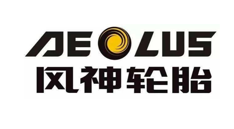 河南省制造業(yè)頭雁企業(yè)名單正式對外公布。在這份名單中，風(fēng)神輪胎股份有限公司脫穎而出，成為唯一入選的輪胎企業(yè)。