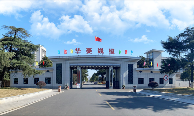 華菱線纜表示將繼續(xù)積極響應(yīng)“雙碳”號(hào)召，進(jìn)一步開(kāi)拓綠色新能源行業(yè)，推動(dòng)行業(yè)能源清潔化、低碳化、高質(zhì)量發(fā)展。公司將致力于提供更加優(yōu)質(zhì)的產(chǎn)品和服務(wù)，實(shí)現(xiàn)社會(huì)、客戶(hù)與企業(yè)共贏目標(biāo)。
