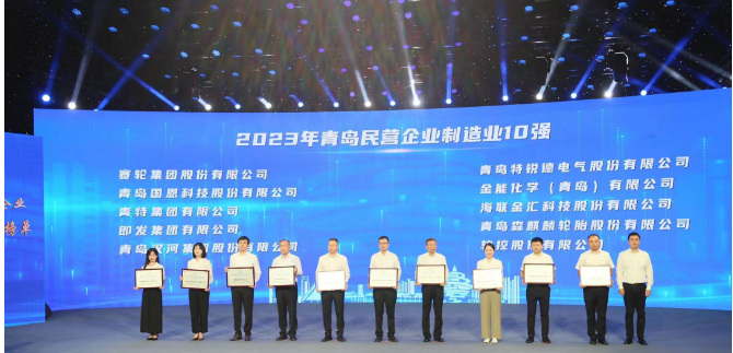 依托青島科技大學(xué)的支持，賽輪集團(tuán)憑借其內(nèi)在的科技創(chuàng)新基因脫穎而出。成立20余年來(lái)，該集團(tuán)始終秉持著“做一條優(yōu)質(zhì)輪胎”的使命，緊緊抓住自主創(chuàng)新這一引擎，聯(lián)合國(guó)家橡膠與輪胎工程技術(shù)研究中心，全力攻克一系列核心技術(shù)難題。不僅成功研發(fā)出世界最大尺寸的63吋巨型工程子午胎，還發(fā)布了全球首個(gè)投入使用的橡膠工業(yè)互聯(lián)網(wǎng)平臺(tái)——“橡鏈云”。此外，其還運(yùn)用全球首創(chuàng)的化學(xué)煉膠技術(shù)，成功研發(fā)出新一代輪胎產(chǎn)品，被譽(yù)為“液體黃金”輪胎。這一產(chǎn)品不僅在耐磨方面實(shí)現(xiàn)突破，還在節(jié)能、舒適性和制動(dòng)距離等方面做出了顯著貢獻(xiàn)，解決了業(yè)界長(zhǎng)期面臨的“魔鬼三角”難題。