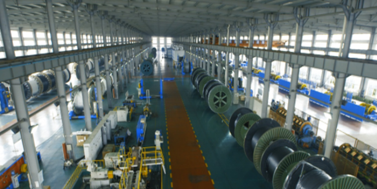 近日，寧波球冠電纜股份有限公司發(fā)布了2023年上半年度報告，報告顯示，球冠電纜在復(fù)雜的經(jīng)濟環(huán)境下取得了可喜的業(yè)績，為半年度創(chuàng)下歷史同期新高。