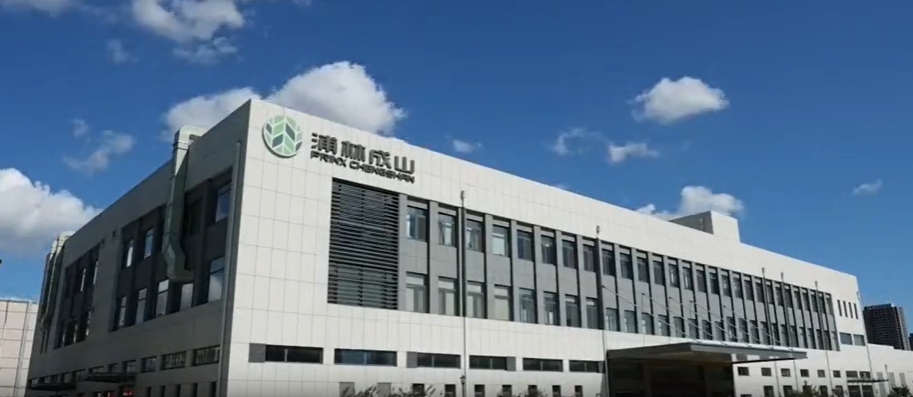 值得注意的是，這一項(xiàng)目的取得并非一蹴而就，而是基于浦林成山公司近年來(lái)在工業(yè)互聯(lián)網(wǎng)領(lǐng)域不斷積累的經(jīng)驗(yàn)。在“工廠智能化管理駕駛艙項(xiàng)目”中，公司通過(guò)全面收集和分析生產(chǎn)數(shù)據(jù)，實(shí)現(xiàn)了生產(chǎn)過(guò)程的實(shí)時(shí)預(yù)警和問(wèn)題追溯，確保了輪胎產(chǎn)品質(zhì)量的一致性。