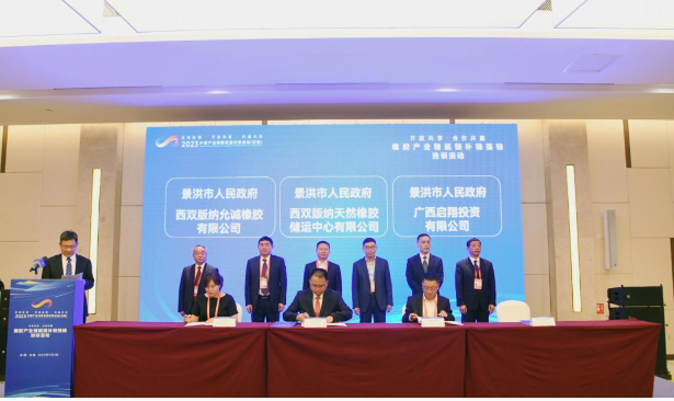 本次活動的主題為“開放共享 合作共贏”，吸引了來自省內(nèi)外的數(shù)百位企業(yè)家共襄盛舉?；顒又?，代表們有機會展開充分的交流和深入的洽談，旨在達成更多合作共識，促進全方位的合作，推動云南天然橡膠的高質(zhì)量發(fā)展。會上舉行了項目簽約儀式，共有6個項目成功簽約，總投資額達到30億元。與會的各個州市代表在現(xiàn)場對這些項目進行了詳細介紹，并進行了項目交流。