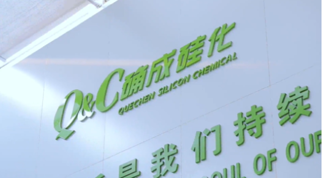 確成硅化學(xué)股份有限公司自成立至今，專注于沉淀法二氧化硅產(chǎn)品的研發(fā)、制造和銷售，經(jīng)過20年的發(fā)展，已經(jīng)成為全球主要的二氧化硅產(chǎn)品專業(yè)制造商之一。確成股份擁有從原材料硫酸、硅酸鈉到最終產(chǎn)品二氧化硅的制造產(chǎn)業(yè)鏈，產(chǎn)品主要市場聚焦在橡膠工業(yè)領(lǐng)域的高性能子午線綠色輪胎配套專用材料以及動物營養(yǎng)品領(lǐng)域的動物飼料載體用二氧化硅。此外，確成股份在國內(nèi)外擁有多個生產(chǎn)基地，總產(chǎn)能位列世界第三位，主要客戶包括國際知名輪胎和動物營養(yǎng)品公司。