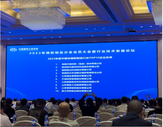 2023年橡膠制品分會(huì)會(huì)員大會(huì)暨行業(yè)技術(shù)發(fā)展論壇的成功舉辦將促進(jìn)行業(yè)內(nèi)外的合作交流，助力橡膠制品行業(yè)在新時(shí)代展開新的征程。