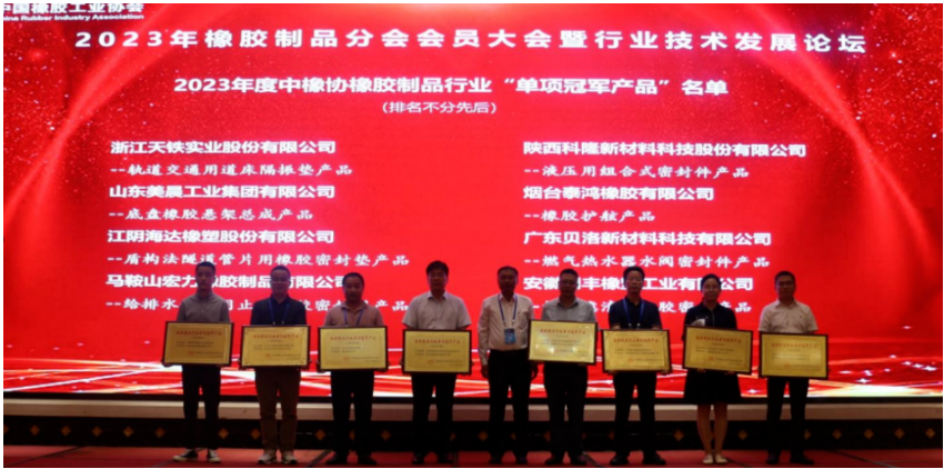 在行業(yè)技術(shù)發(fā)展論壇上，15位嘉賓在橡膠密封、軌道交通、產(chǎn)品檢測、原材料等領(lǐng)域?yàn)榕c會(huì)代表做了精彩的報(bào)告。