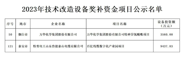 根據(jù)山東省政府《關(guān)于印發(fā)2023年“穩(wěn)中向好、進(jìn)中提質(zhì)”政策清單(第一批)的通知》(魯政發(fā)〔2022〕18號(hào))以及《關(guān)于組織申報(bào)2023年技術(shù)改造設(shè)備獎(jiǎng)補(bǔ)資金項(xiàng)目的通知》(魯工信規(guī)〔2023〕109號(hào))的要求，山東省工業(yè)和信息化廳積極組織并展開了2023年技術(shù)改造設(shè)備獎(jiǎng)補(bǔ)資金項(xiàng)目評(píng)審工作。在經(jīng)歷了企業(yè)申報(bào)、各市推薦、財(cái)務(wù)審核、專家評(píng)審、部門核查等多個(gè)環(huán)節(jié)后，最終擬定了包含216個(gè)項(xiàng)目的2023年技術(shù)改造設(shè)備獎(jiǎng)補(bǔ)資金項(xiàng)目名單。