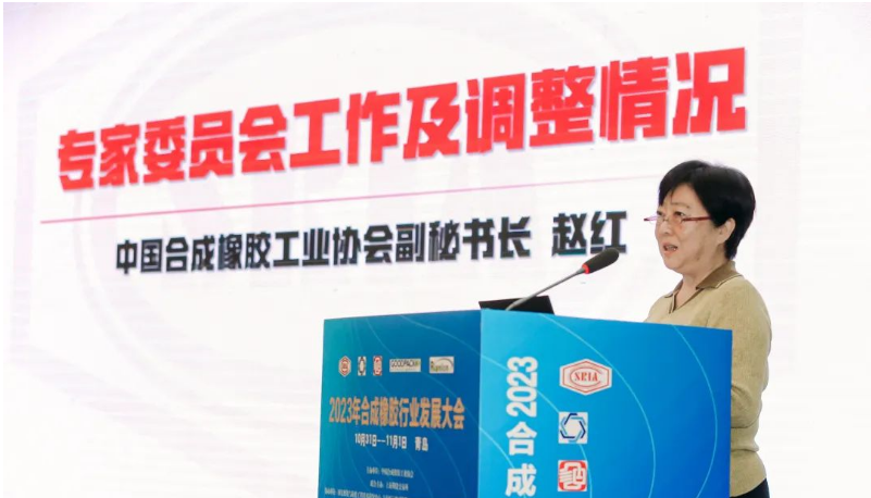 中國合成橡膠工業(yè)協(xié)會秘書長趙紅詳細(xì)介紹了專家委員會的工作情況和新一屆專家委員會的組成。會長梁愛民為專家委員會主任委員張立群院士頒發(fā)了聘書，標(biāo)志著專家委員會的正式成立。