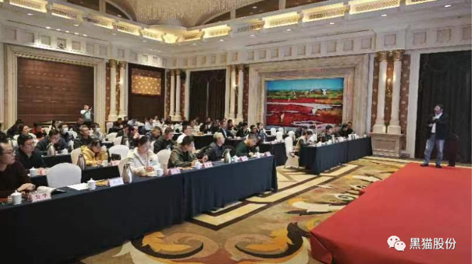 各參會嘉賓齊聚一堂，會場氣氛熱烈，會談內(nèi)容豐富。通過本次推介會，黑貓股份與參會企業(yè)之間的距離得以拉近，工作思路也得以拓寬，為公司未來的高質(zhì)量蓬勃發(fā)展奠定了堅(jiān)實(shí)基礎(chǔ)。
