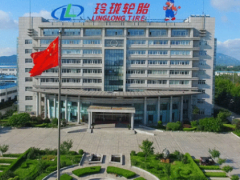玲瓏集團(tuán)總裁王琳詳述：企業(yè)如何應(yīng)對全球挑戰(zhàn)與機(jī)遇