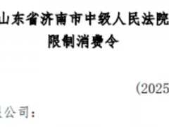 山東某輪胎企業(yè)，法人遭限高