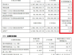 佳通輪胎，半年報(bào) “增收不增利”！
